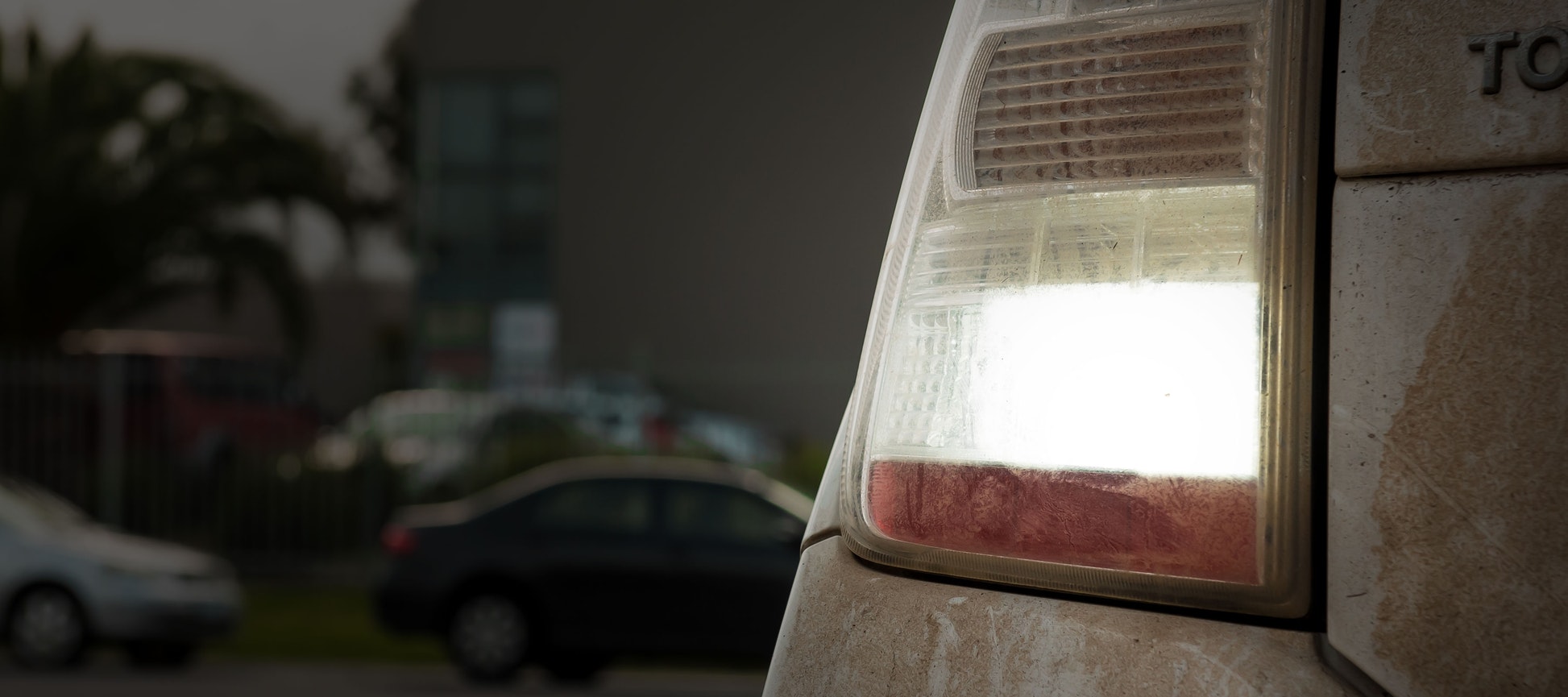 STEDI BA15S 1000 Lumen LED